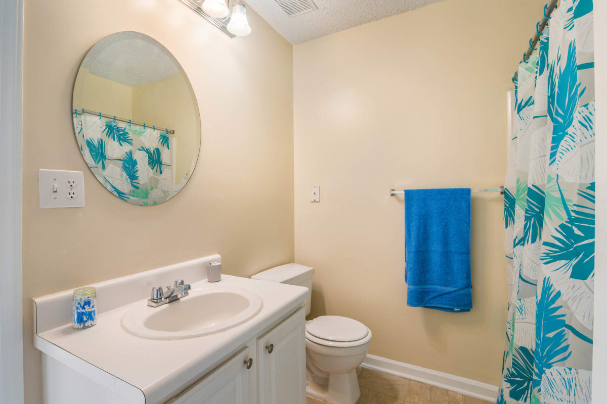 Apartments for Rent in North Raleigh, NC Cedar Springs